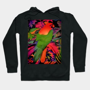 TROPICAL VIBRANT PARROT DECO ART PRINT RAINBOW COLOURS Hoodie